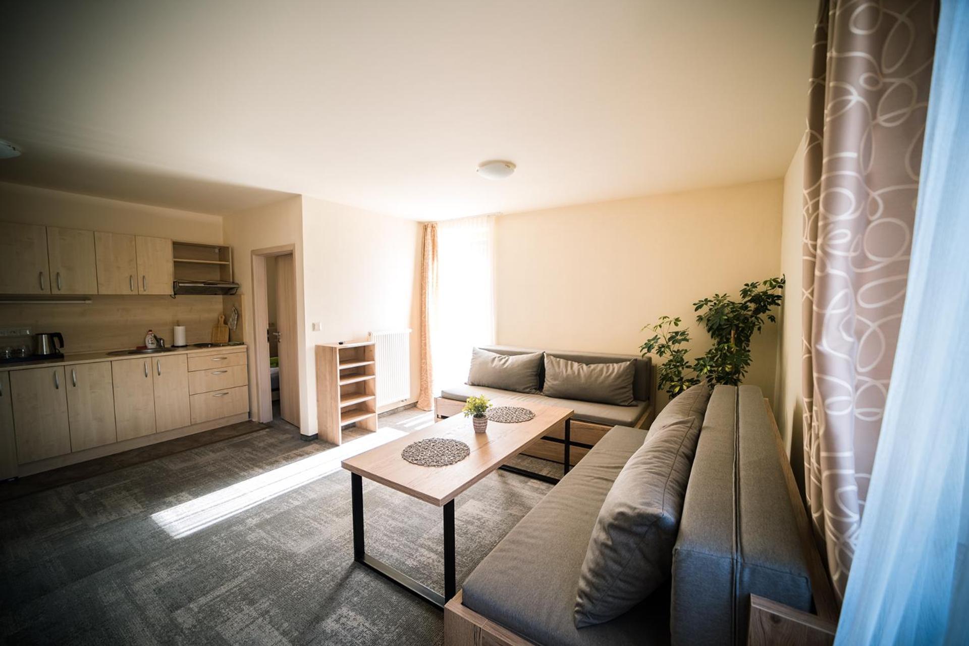 Wellness & Spa Hotel Certov エクステリア 写真